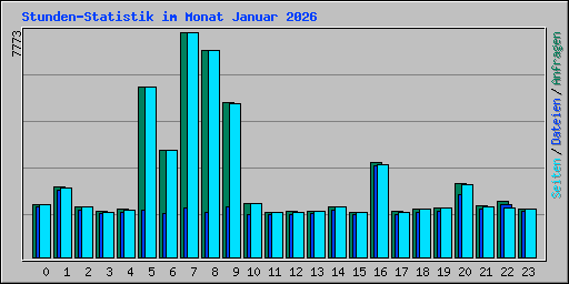 Stunden-Statistik im Monat Januar 2026